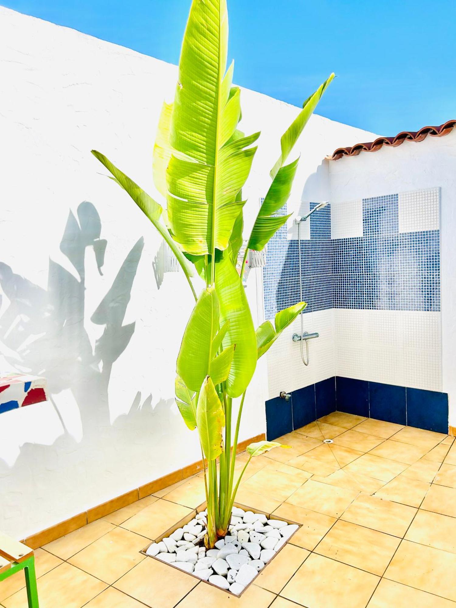 Oasis Beach Holiday Home With Jacuzzi بلايا ديل إنغلز المظهر الخارجي الصورة